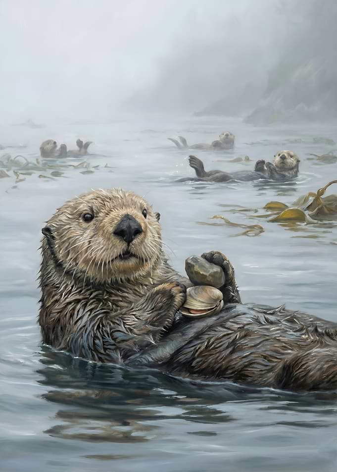Sea Otters in Misty Waters