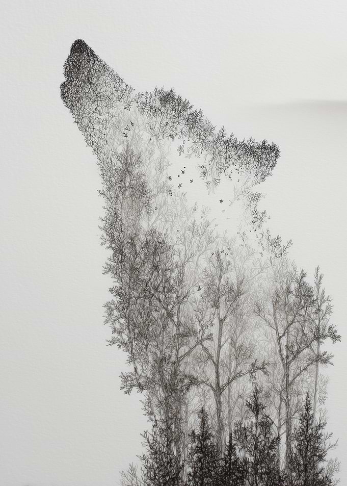Wolf and Forest Graphite Drawing