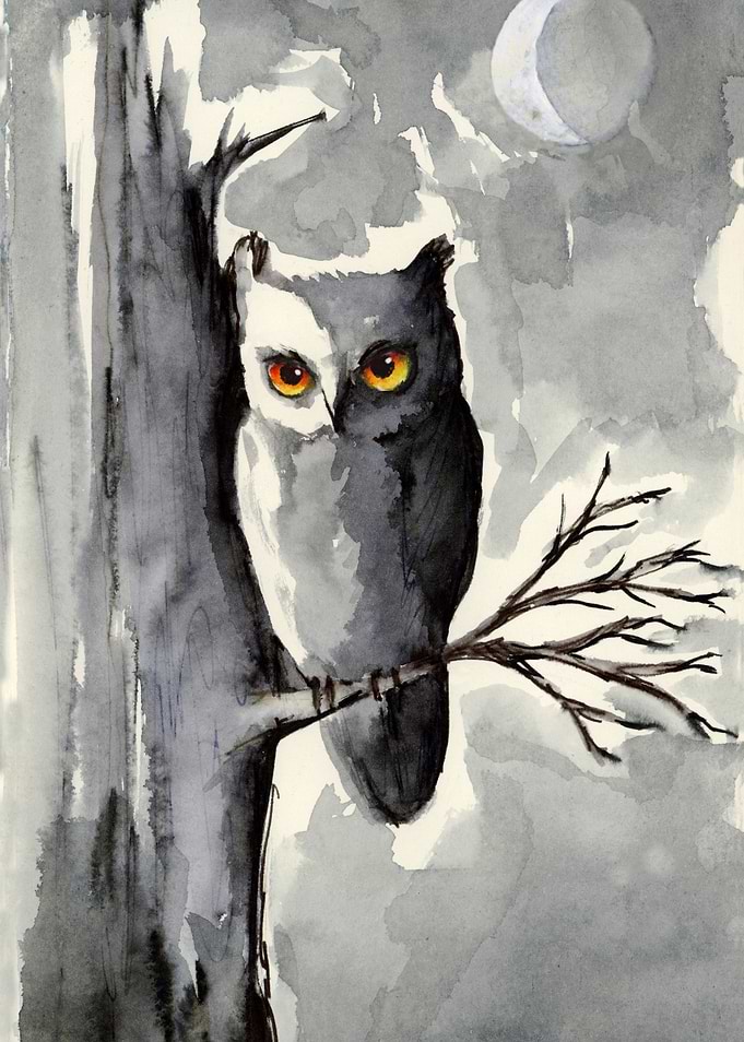 Watercolor Owl Under Moonlight