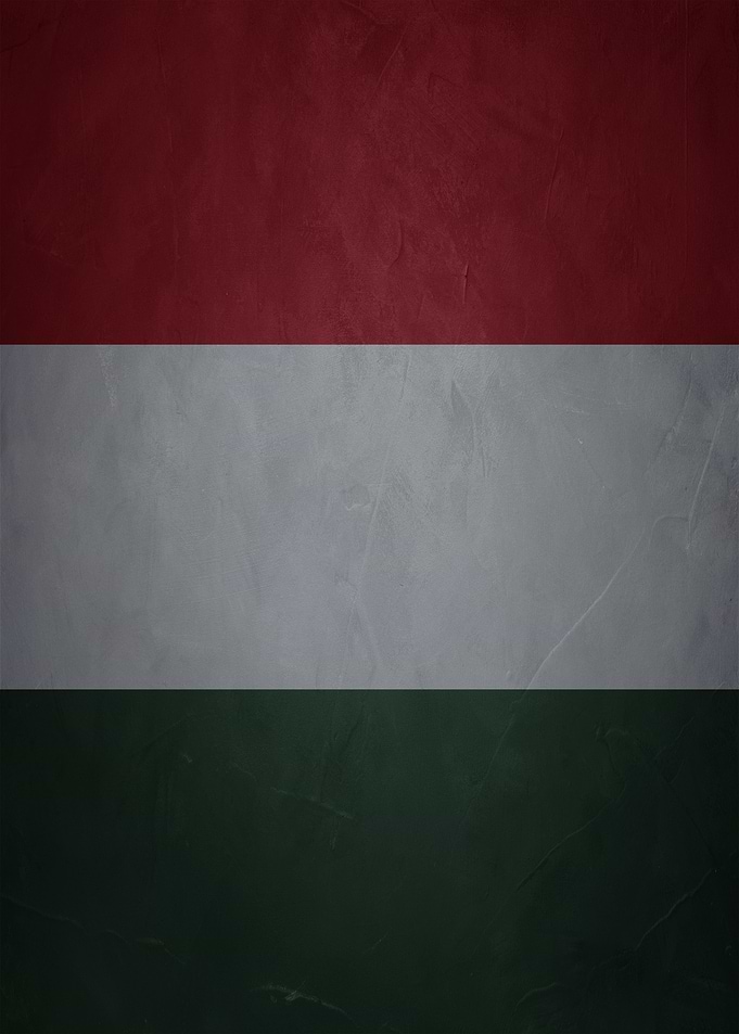 Hungarian Flag Texture