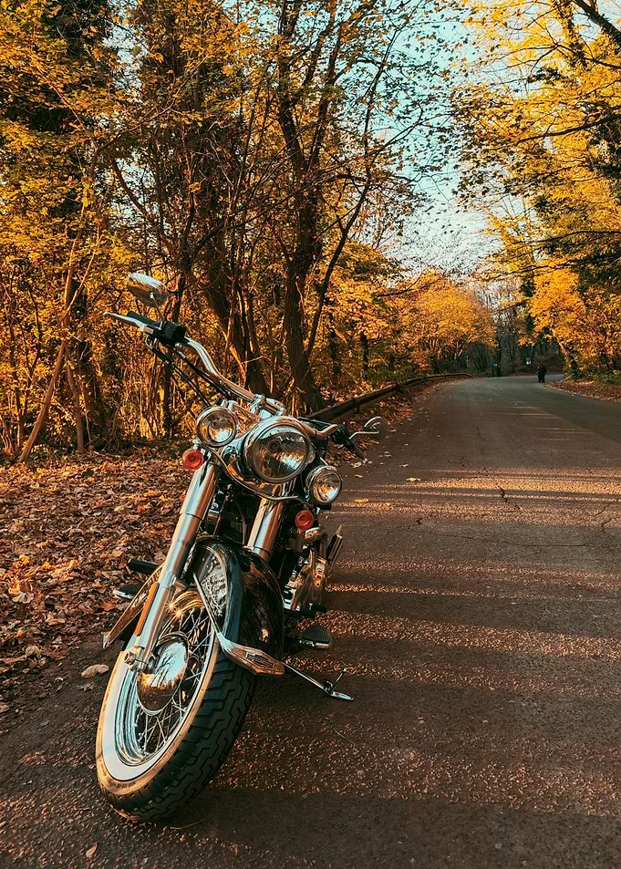 Motorcycle on Autumn Road