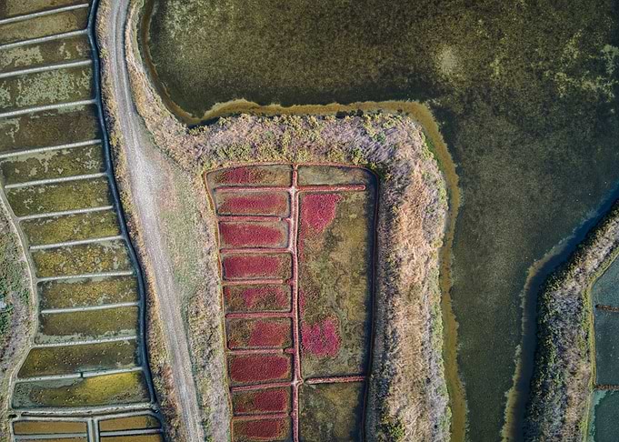 Aerial View of Farmland and Waterways