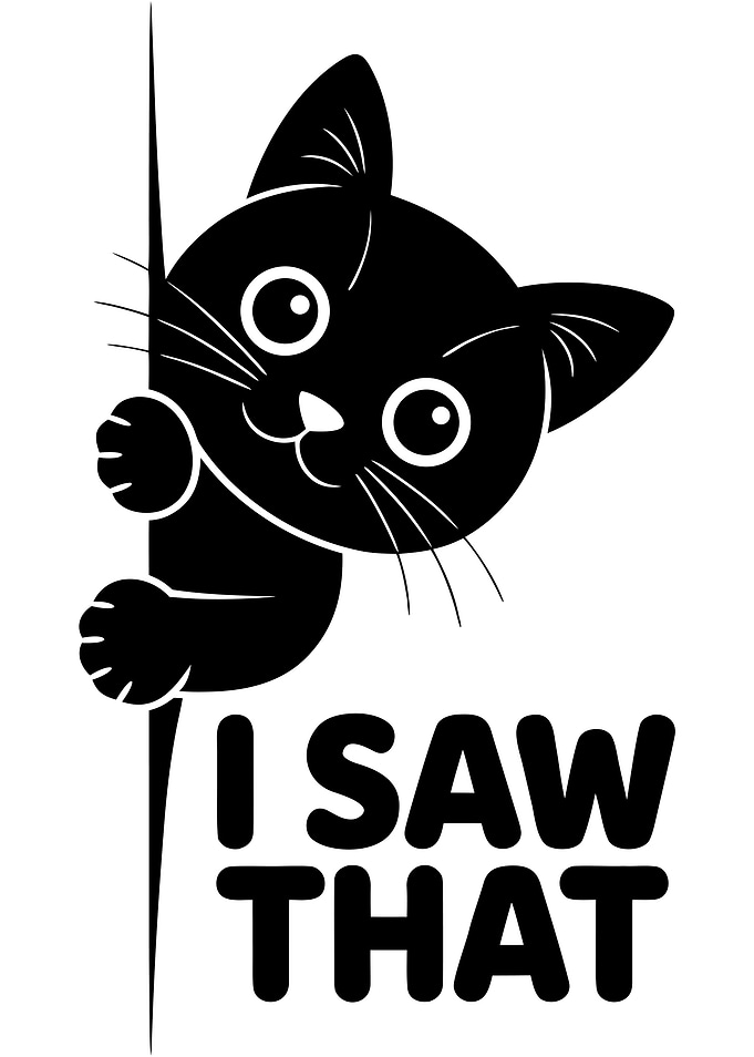 I Saw That Funny Cat