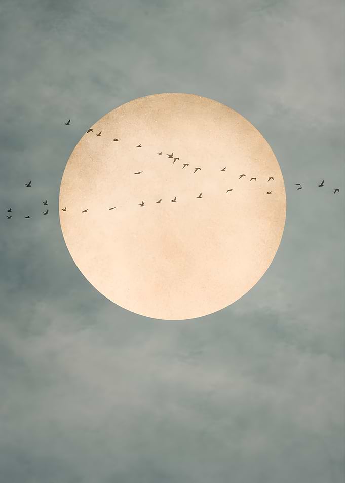 Birds Flying Over a Sage Moon