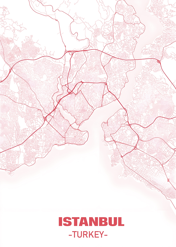 Istanbul, Turkey Map Art