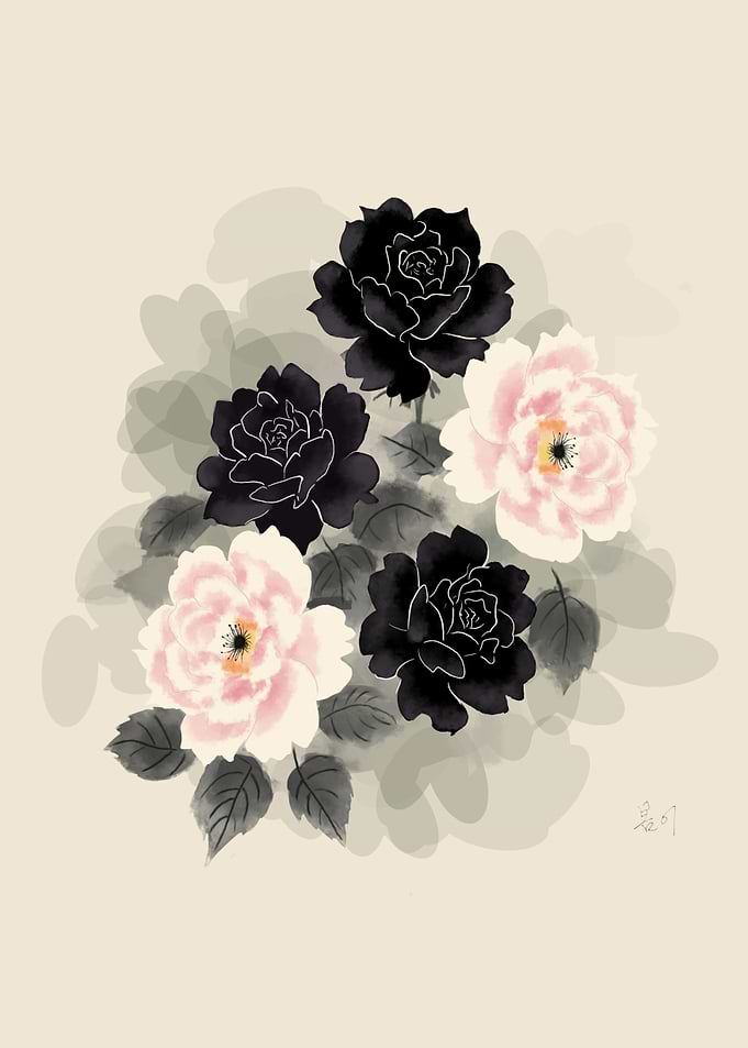 Black and Pink Roses