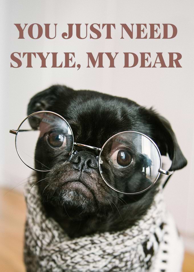 Stylish Pug with Glasses and Scarf