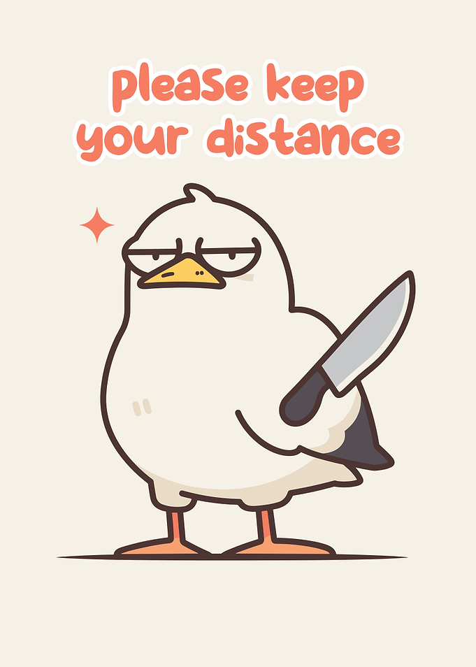 Keep Your Distance Seagull