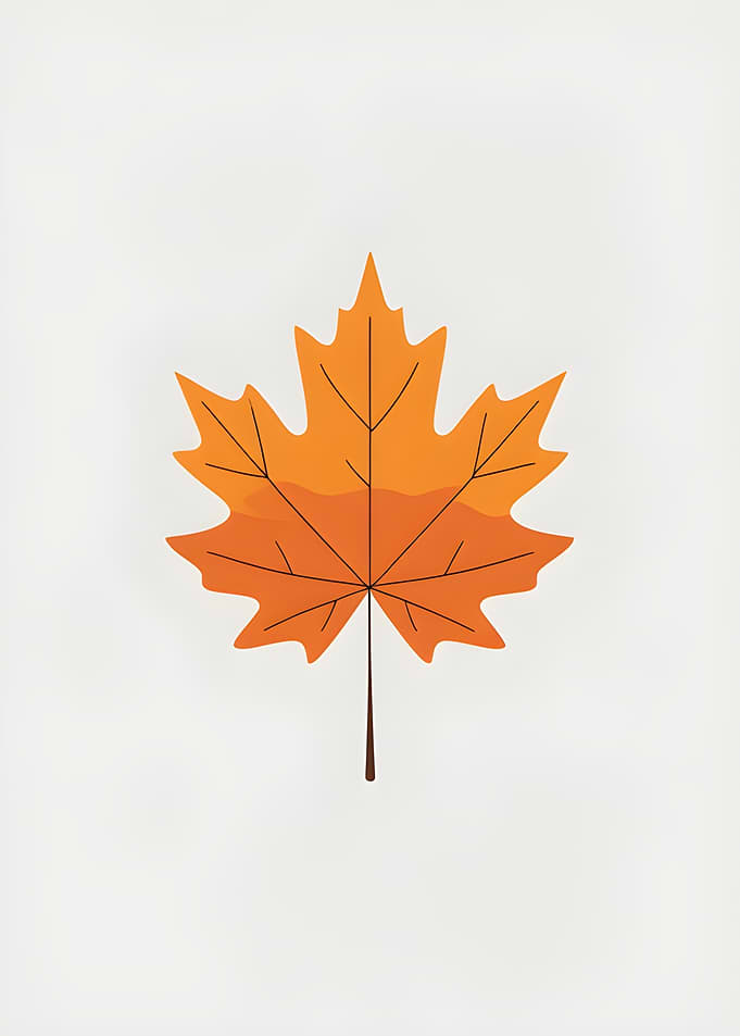 Orange Maple Leaf Illustration