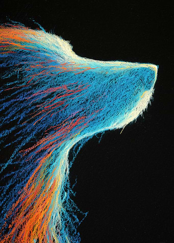 Abstract Dog Head Pastel Drawing