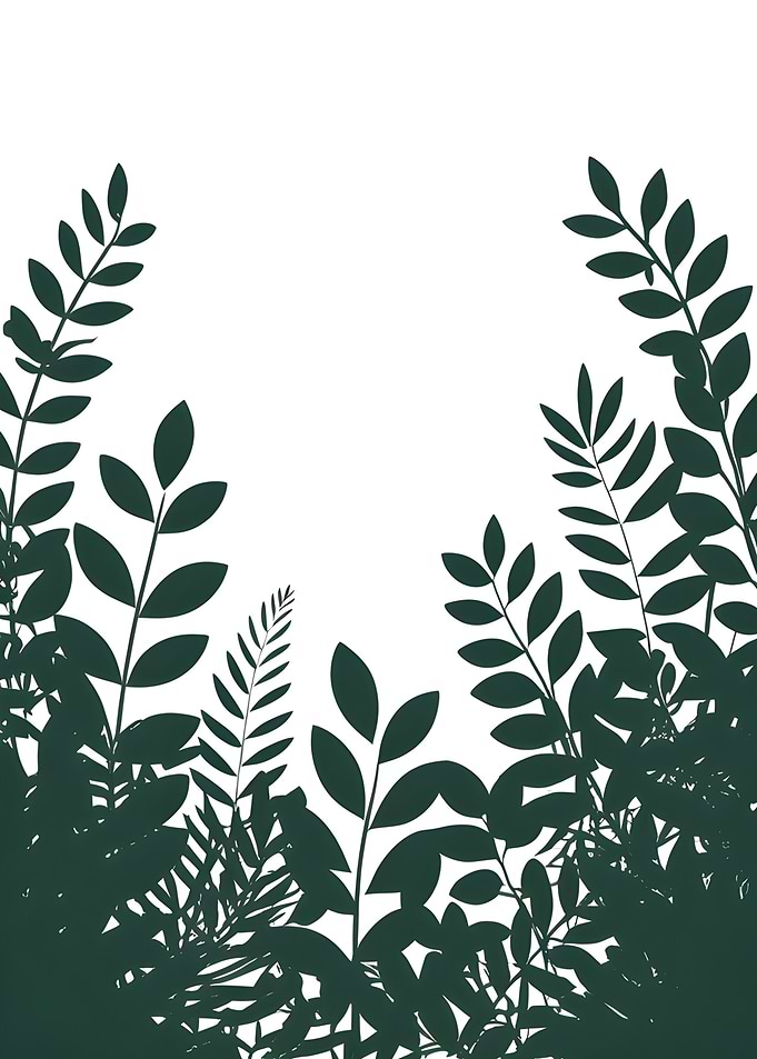 Dark Green Leaves on White Background