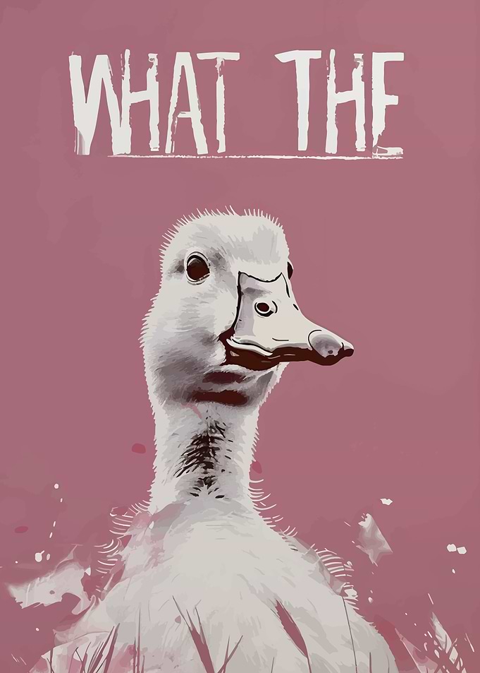What the Duck