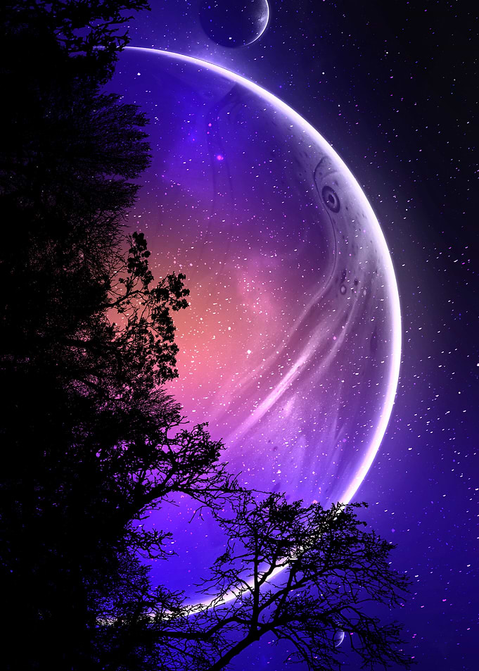 Planetary Landscape with Silhouetted Trees