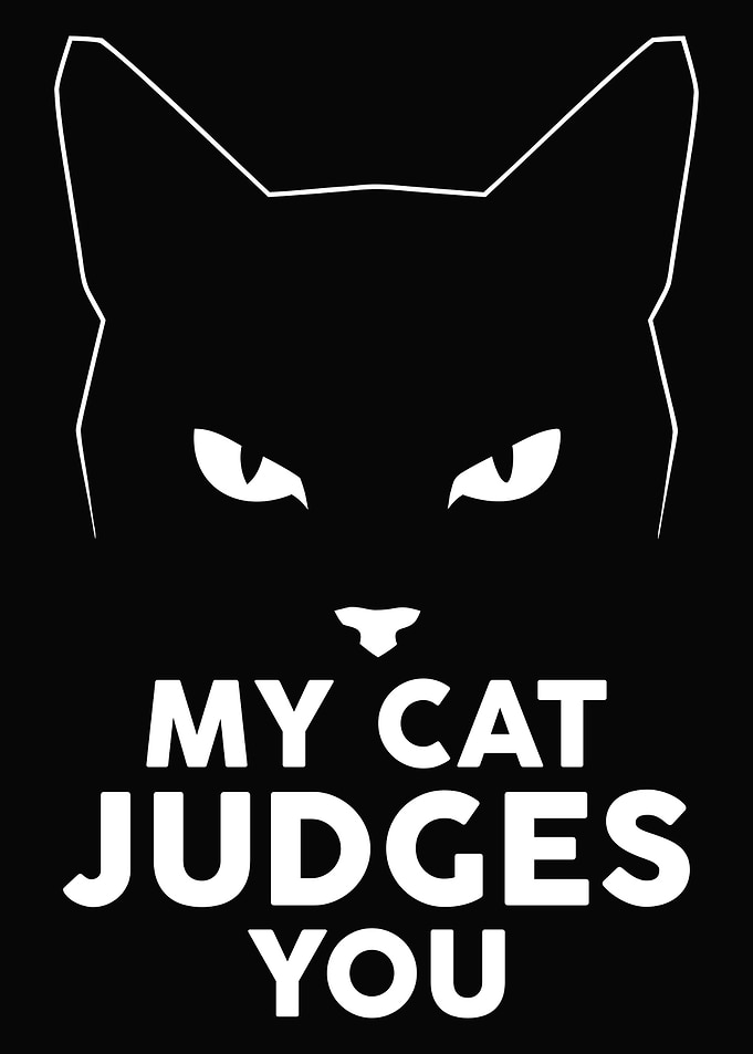 My Cat Judges You