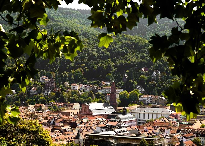 Heidelberg cityscape framed by leaves