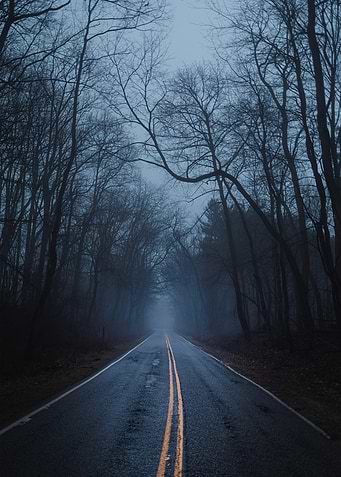 Misty Road Through Dark Forest