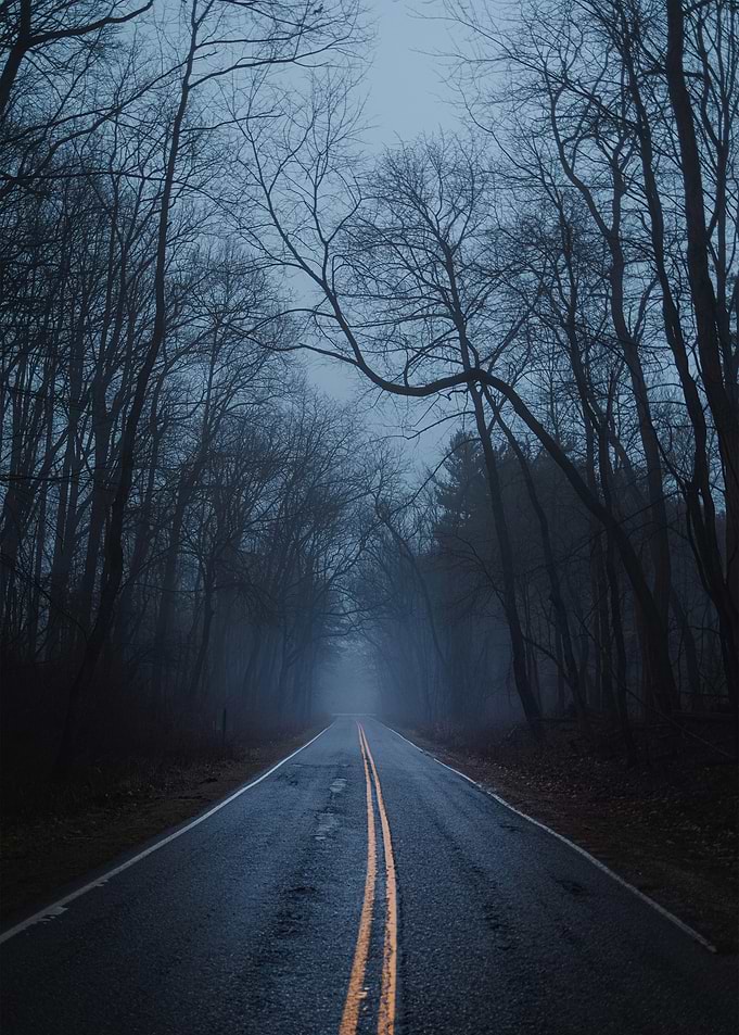 Misty Road Through Dark Forest