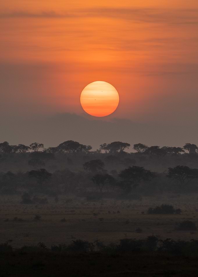 African Sunrise Landscape
