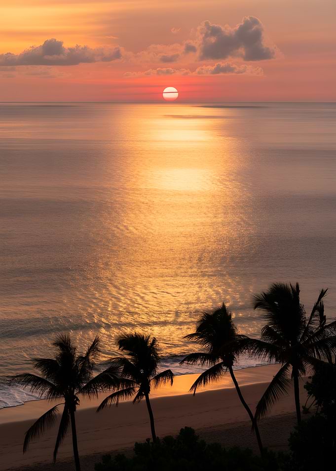 Tropical Sunset Over Ocean with Palm Trees