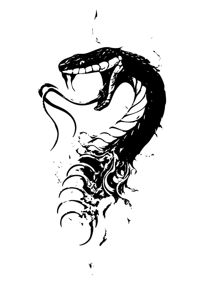 Black and White Snake Illustration