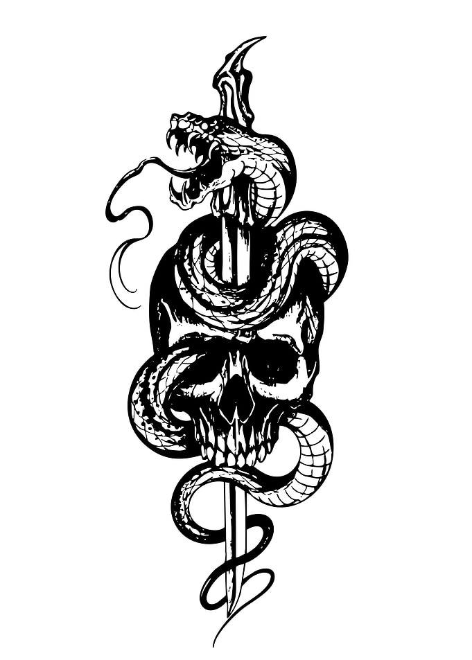 Skull, Snake, and Sword Illustration