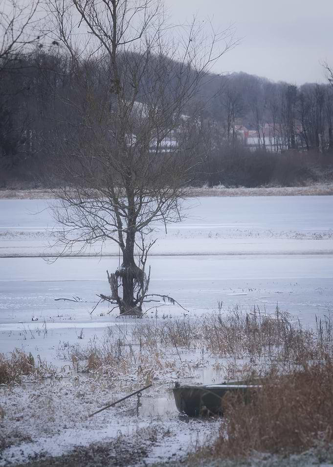 Winter Landscape with Tree and Boat