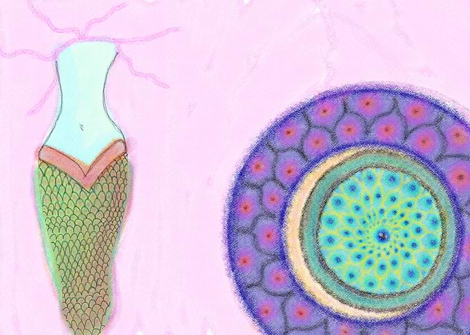 Inside the Egg