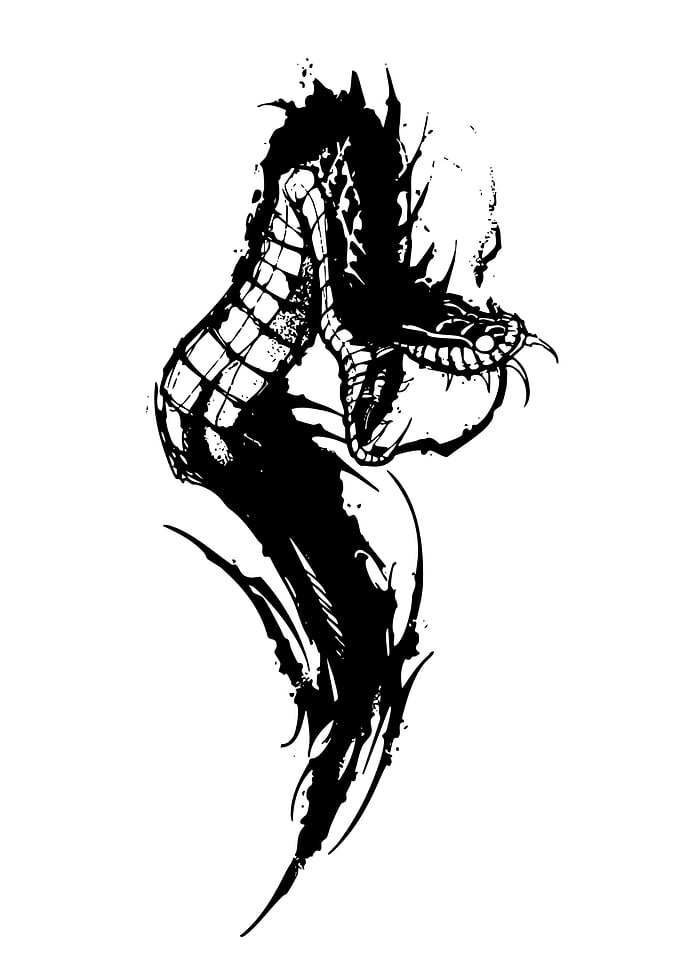 Black and White Snake Illustration