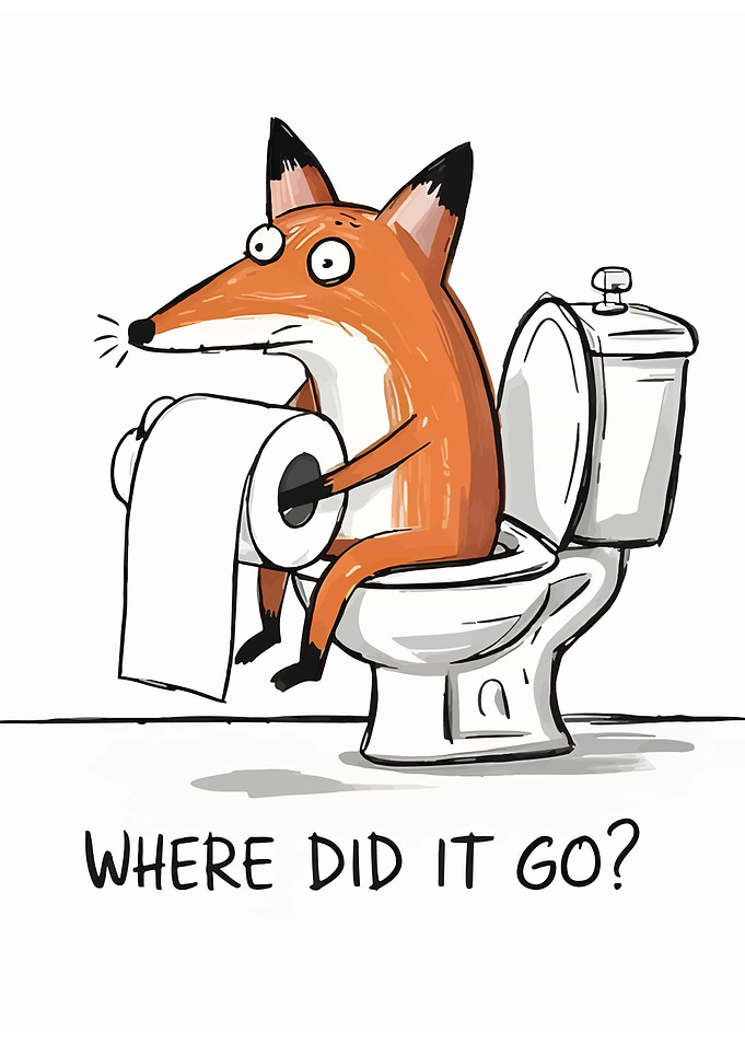 Fox on Toilet: Where Did It Go?