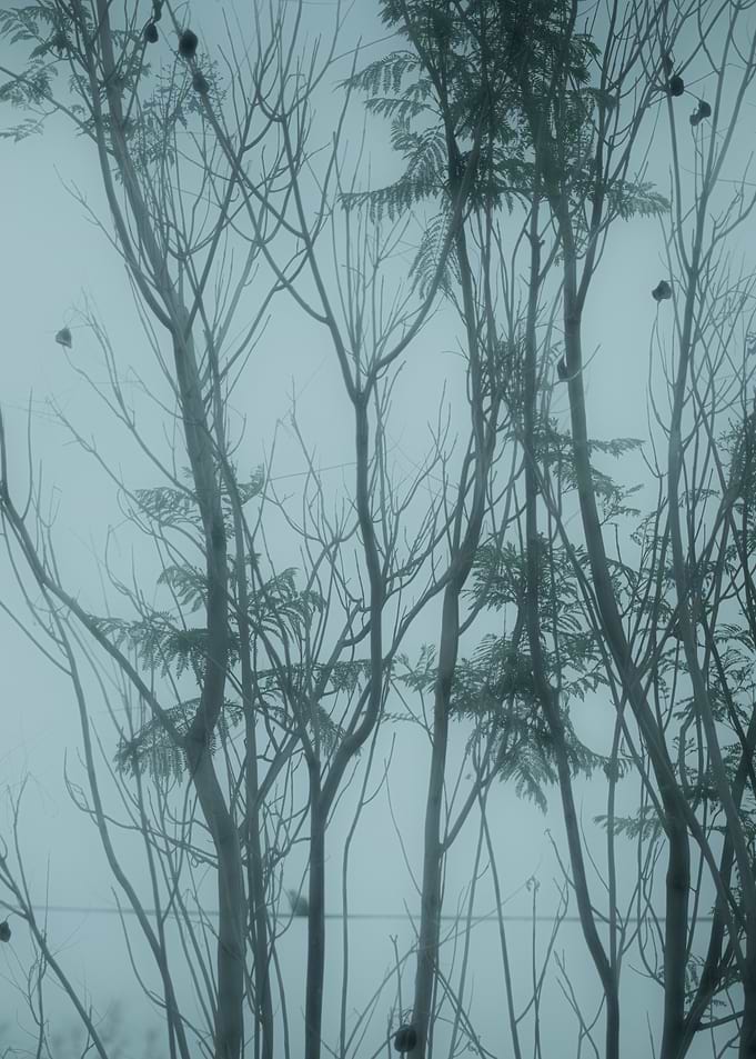 From the collection, 'Cold Sun'