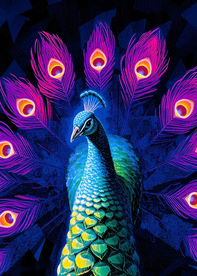 Vibrant Peacock Display