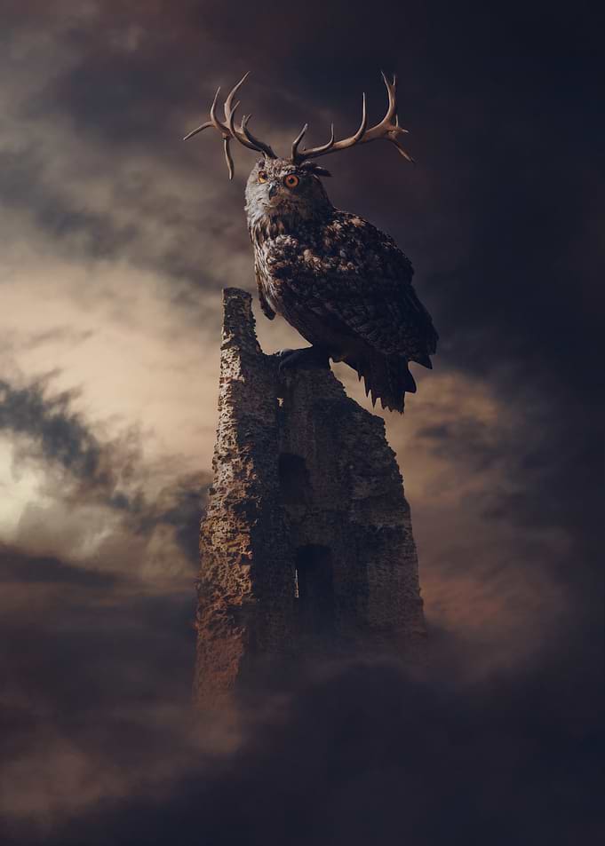 The Tower