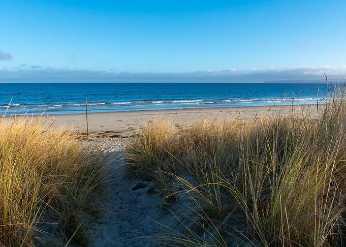 Glowe Beach scene with dune grass
