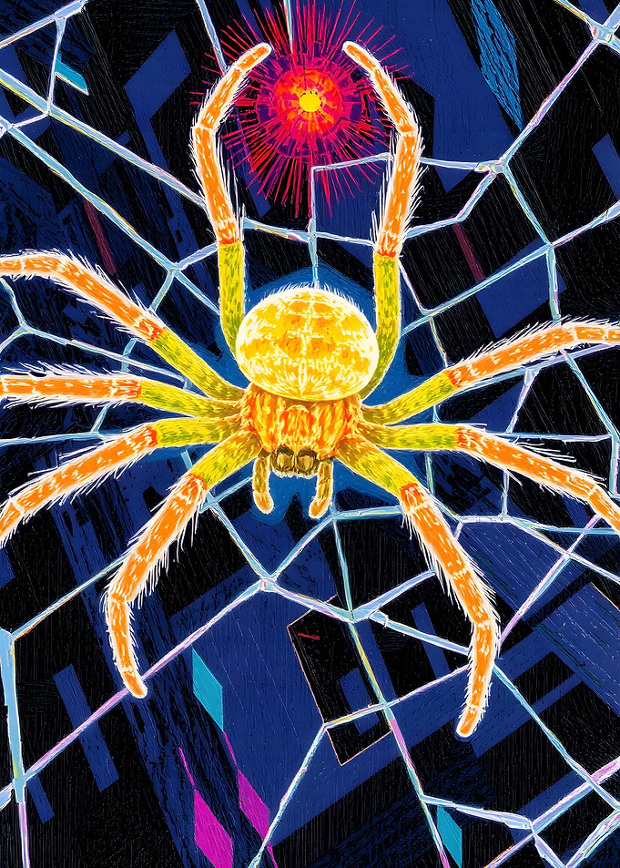 Spider in Web with Red Burst