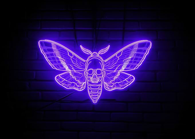 Neon Death's-head Hawkmoth
