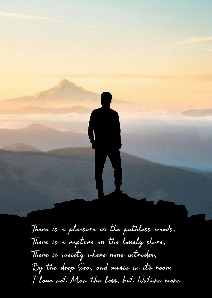 Into The Wild