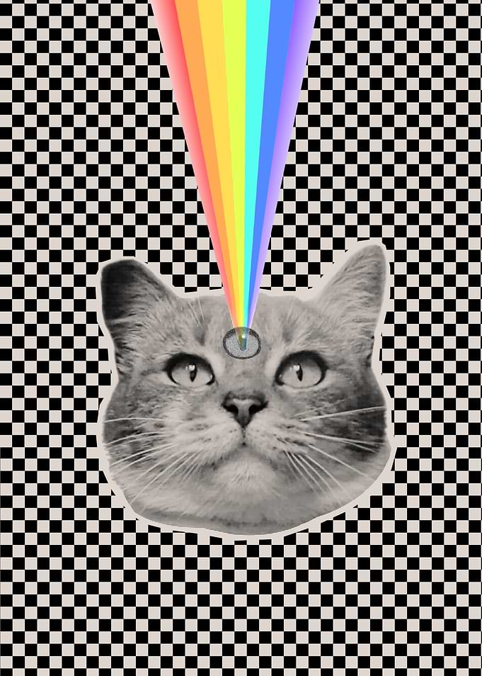 Psychedelic Cat with Rainbow Beam