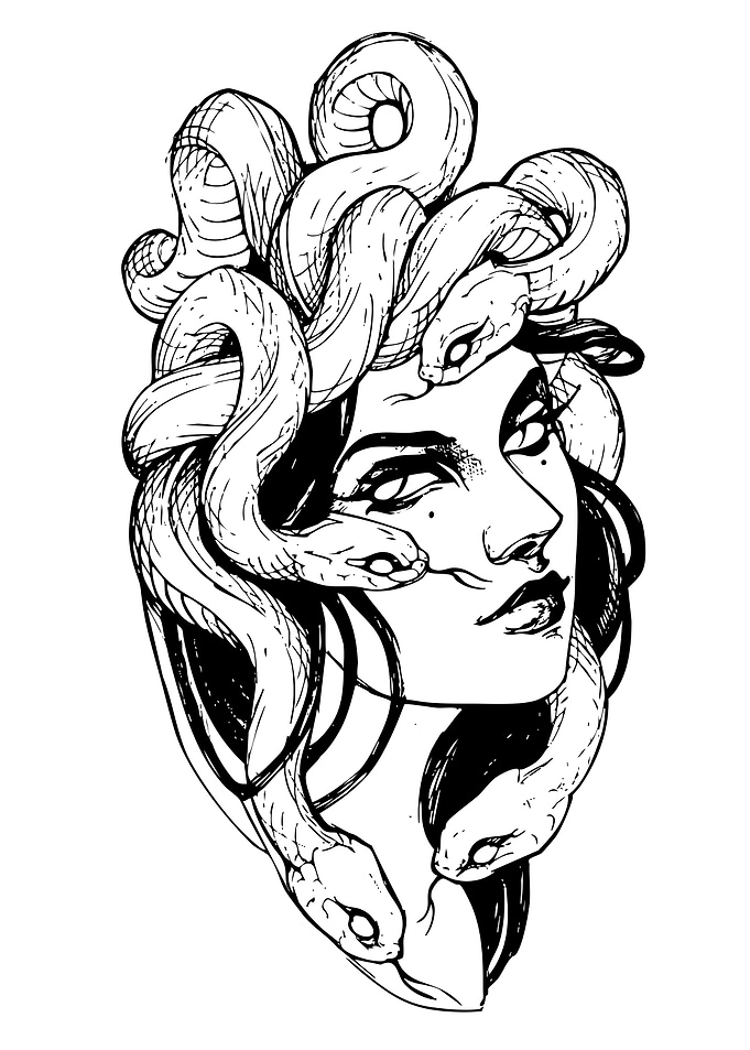 Medusa Black and White Illustration