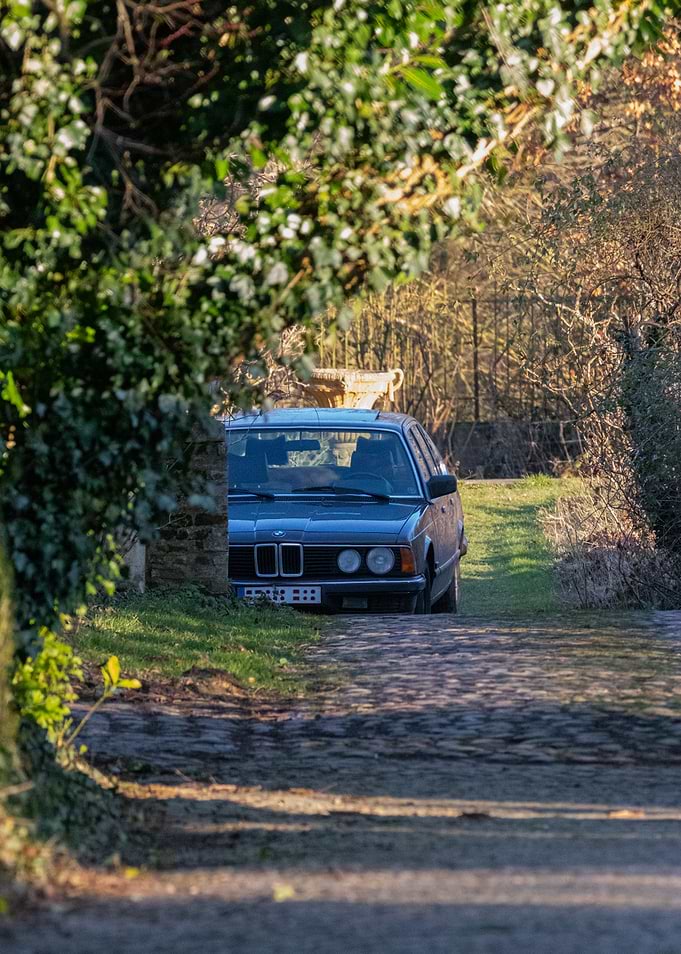 Classic BMW in a Natural Setting