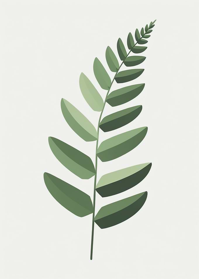 Green Fern Leaf Illustration