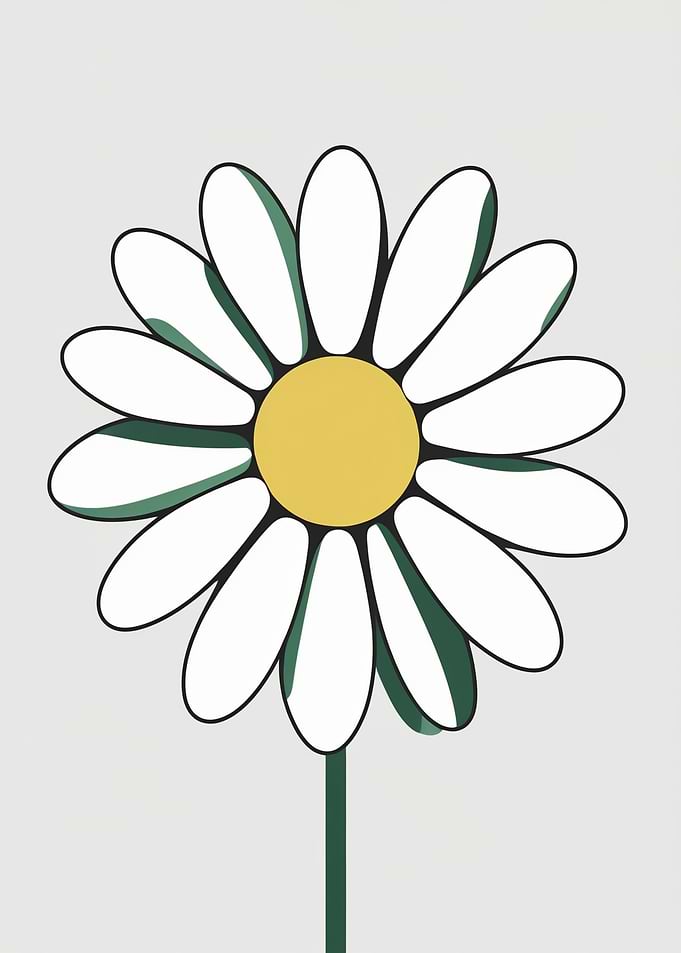 Daisy Flower Illustration