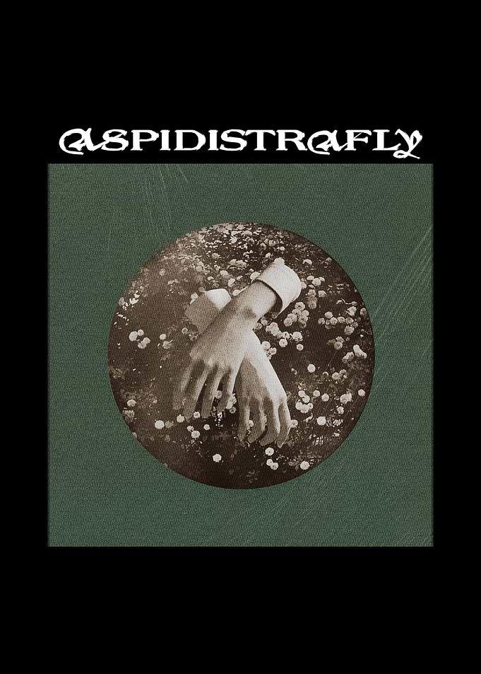 Band album cover art