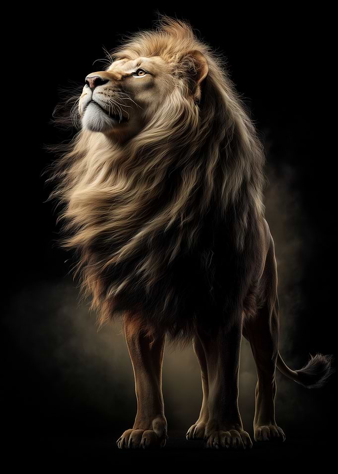 Majestic Lion Portrait on Black Background