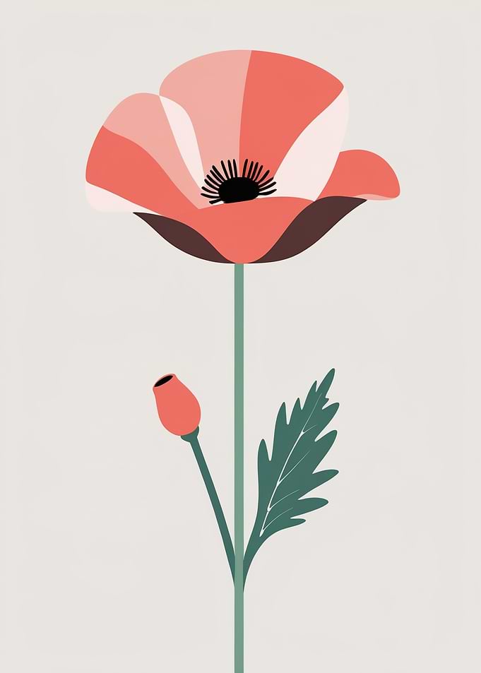Minimalist Poppy Flower Illustration