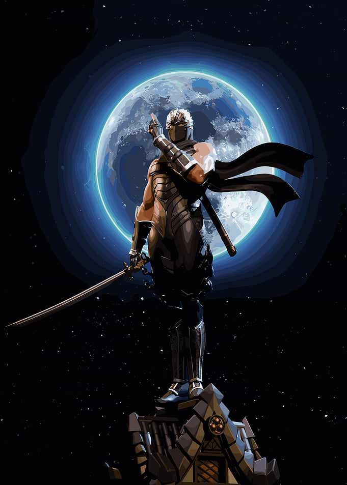 Ninja Warrior Under Moonlight