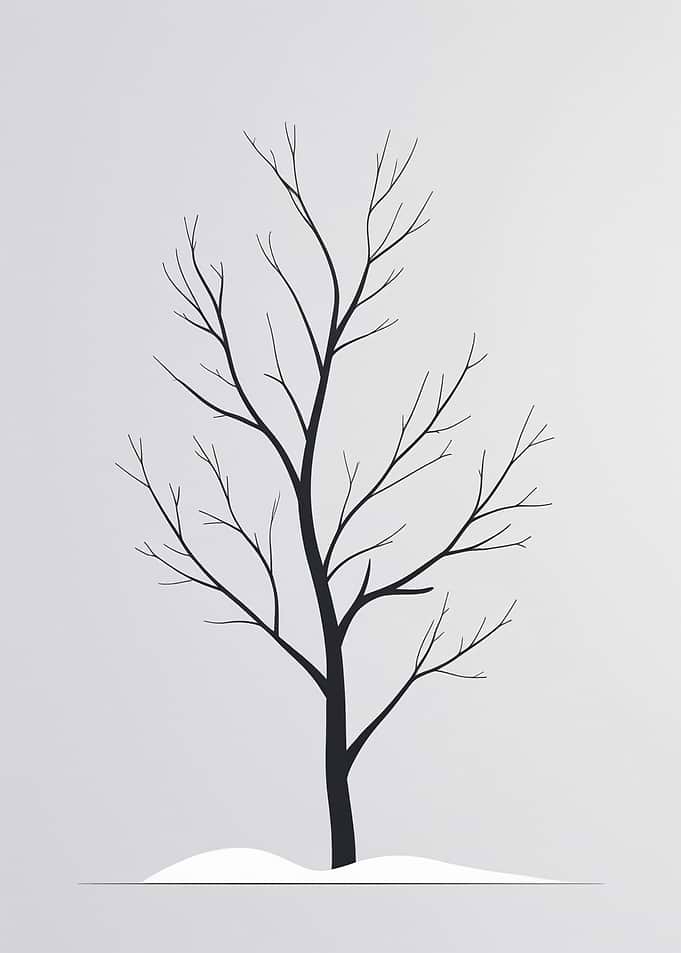 Bare Tree Silhouette on Snow