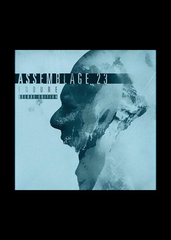 Endure Deluxe Edition Album