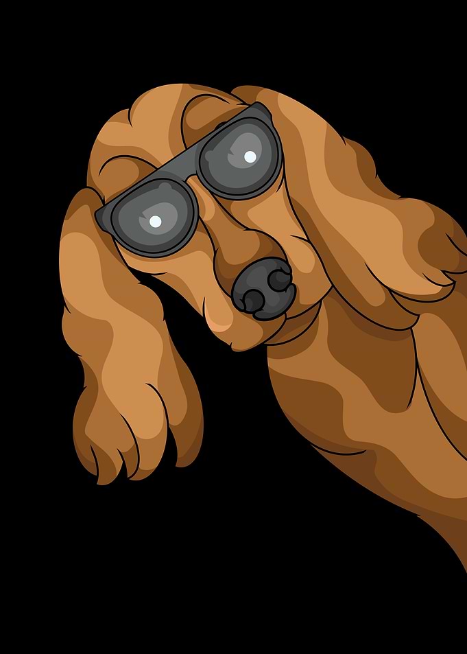 Cool Cocker Spaniel Dog with Sunglasses