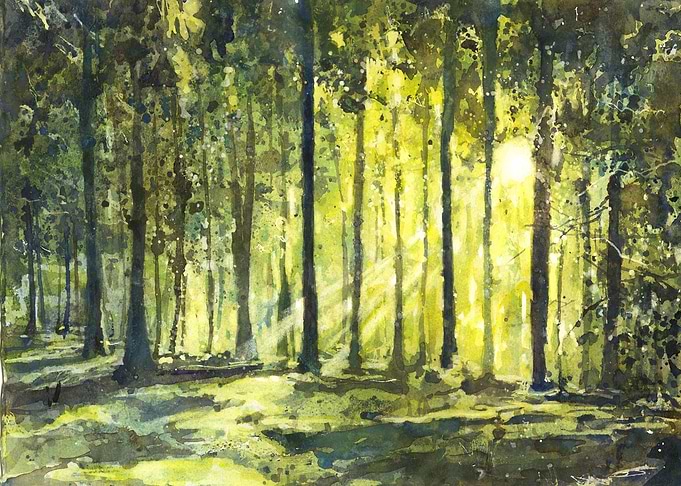Sunlit Forest Watercolor Painting