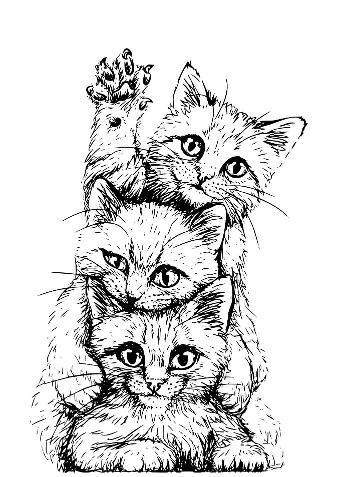 Three Cats Stacked Black and White